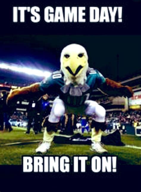 eagles memes 2022|dallas eagles memes.